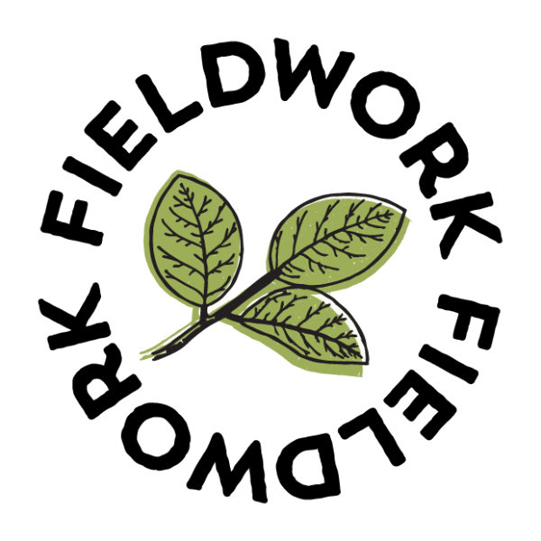 Fieldwork - SF logo